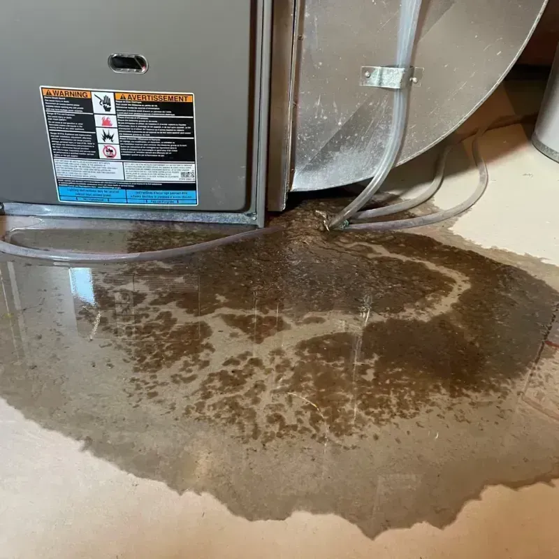 Appliance Leak Cleanup in Aberdeen, MS